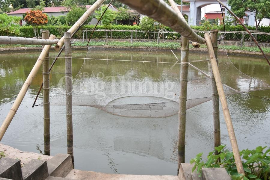 Bảo tàng Đồng quê, lưu giữ hồn quê Việt bao tang dong que luu giu hon que viet
