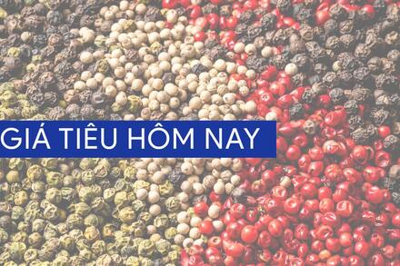 Giá tiêu giảm mạnh trong tháng 5 do bất ổn thuế quan Mỹ
