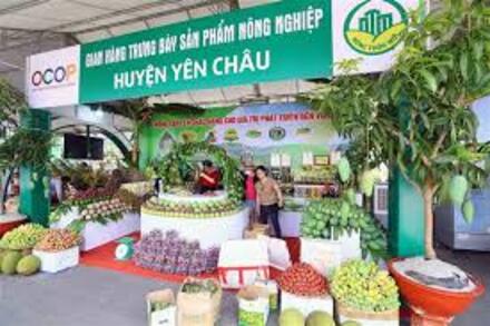Hoàn thiện Bộ tiêu chí OCOP theo hướng xây dựng thương hiệu quốc gia, đáp ứng yêu cầu mới