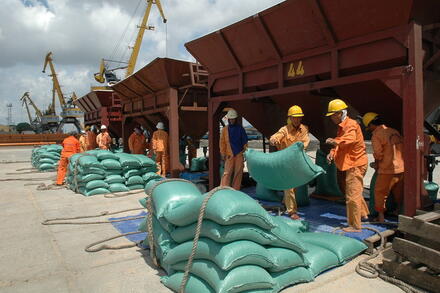 Tạo hành lang pháp lý thuận lợi nhất cho hoạt động xuất khẩu gạo