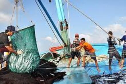 Tuyên truyền, xử lý nghiêm tàu cá khai thác hải sản bất hợp pháp