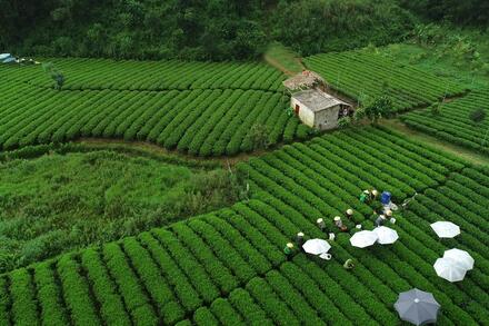 Doanh nghiệp nhỏ trước yêu cầu xuất xứ khi vào thị trường EU