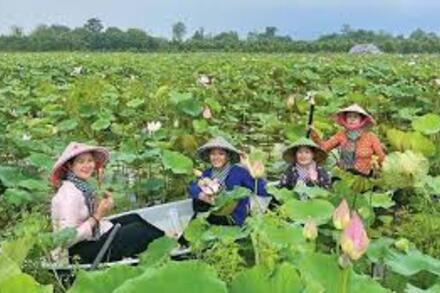 Đồng Tháp đạt tổng thu hơn 4100 tỷ đồng từ phát triển du lịch xanh