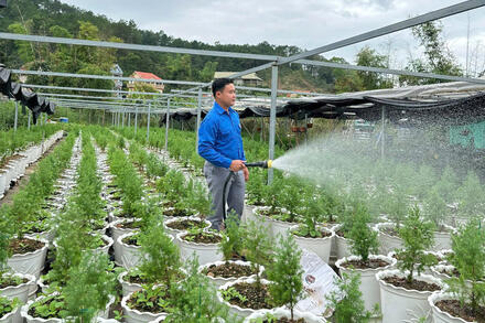 Chuyên gia hiến kế để thanh niên khởi nghiệp bằng nông nghiệp công nghệ cao