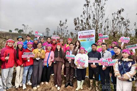 Lai Châu: Bình Lư đưa đào Tết, nhất chi mai lên TikTok Shop