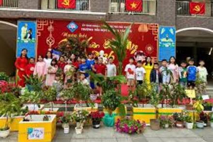 Từ chậu hành lá nơi trường học phố thị đến rừng quế của học sinh vùng cao