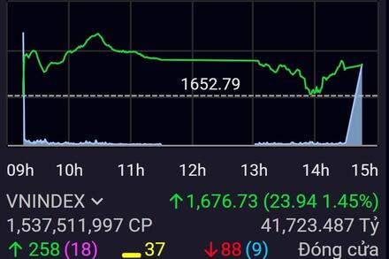 Dòng tiền bắt đáy lan tỏa, VN-Index lấy lại gần 24 điểm
