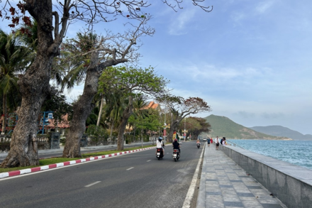 TP. Hồ Chí Minh sẽ chuyển đổi toàn bộ phương tiện sang xe điện vào năm 2040