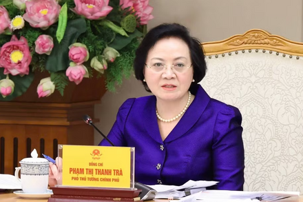 Phó Thủ tướng Phạm Thị Thanh Trà đảm nhận thêm nhiệm vụ