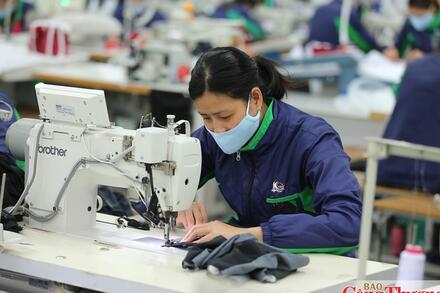 Gỡ nút thắt xuất xứ CPTPP: Dệt may chuyển hướng nguồn cung
