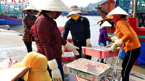 Nghệ An: Phê duyệt quy hoạch dự án Cảng thủy nội địa tổng hợp Quỳnh Lộc