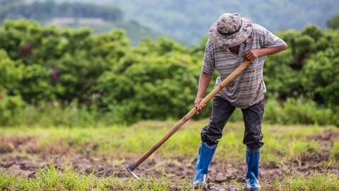 Nông dân Đông Nam Á và những thách thức về biến đổi khí hậu