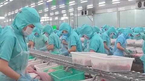 Đồng Tháp từng bước phục hồi sản xuất công nghiệp