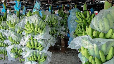 Hà Giang: Điều tiết đối với phương tiện vận tải xuất cảnh qua Cửa khẩu quốc tế Thanh Thủy