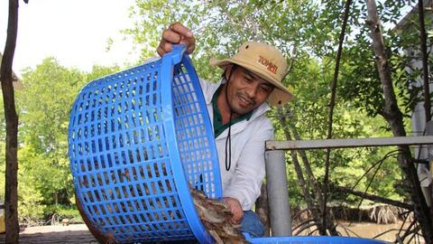 Lý do tôm đất ở Cà Mau trở thành đặc sản tôm khô trứ danh