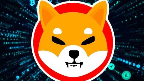 ‘Coin chó’ Shiba Inu và những điều cần biết trong năm 2022