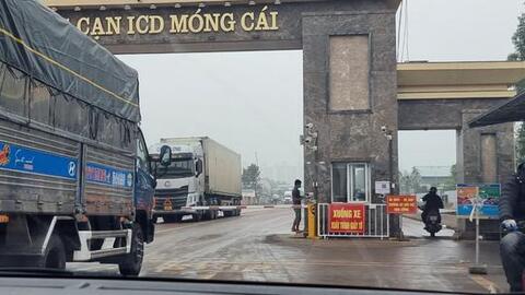 Tạm dừng tiếp nhận mặt hàng hoa quả, thủy sản đông lạnh qua cửa khẩu Móng Cái