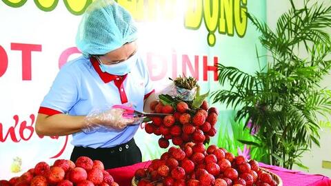 Bảo đảm phúc lợi, an sinh cho công nhân