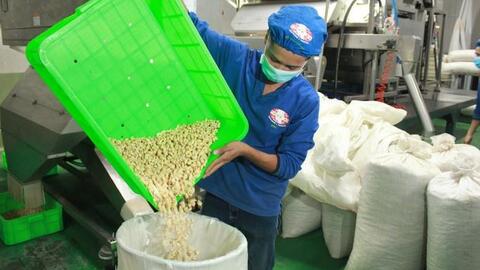 Doanh nghiệp xuất khẩu lại bị lừa