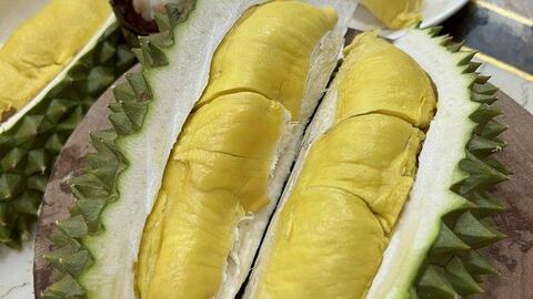 Sầu riêng giá 800.000 đồng/kg: Chưa khuyến cáo trồng