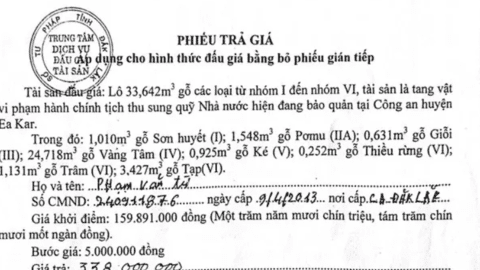 Đắk Lắk: Công an điều tra dấu hiệu bất thường trong vụ bán đấu giá tài sản tang vật