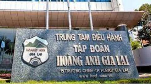 HAG tiếp tục chào bán riêng lẻ gần 162 triệu cp, thay đổi mục đích sử dụng vốn