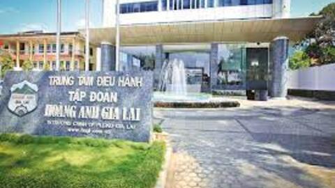 Giá heo thấp hơn, HAG báo lãi sau thuế tháng 9 giảm 8% so với tháng trước