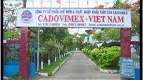 Một doanh nghiệp thủy sản lụi tàn vì gánh nặng nợ vay