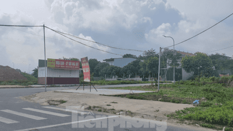 Thị trường bất động sản "cắt lỗ" có phải thời điểm người mua nhà đất xuống tiền?
