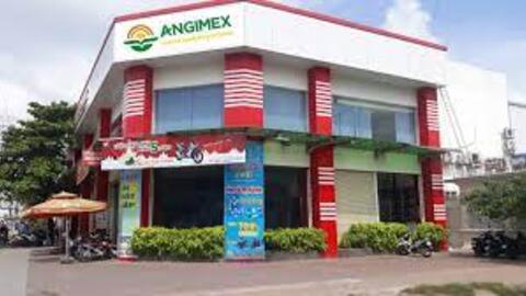 Angimex muốn thanh lý tài sản, vay thêm tiền để trả nợ trái phiếu 
