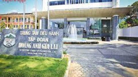 HAG lãi hơn ngàn tỷ năm 2022, vượt kế hoạch lợi nhuận 