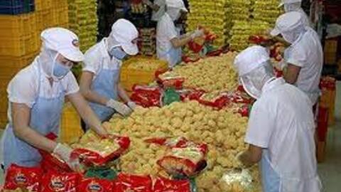 SAF tăng lợi nhuận nhờ nguyên liệu dự trữ ổn định