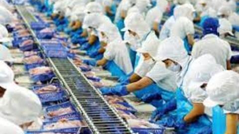 Vĩnh Hoàn: Lãi ròng quý 4 giảm 58% so với cùng kỳ