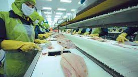VHC: Doanh thu xuất khẩu tháng 2 giảm 29%, riêng thị trường Mỹ giảm 69%