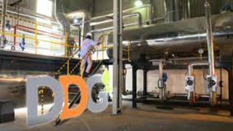 Giá cổ phiếu bốc hơi 83%, giao dịch lãnh đạo DDG và người thân nổi sóng