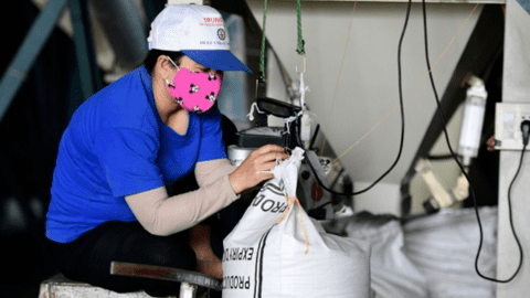 Việt Nam nắm quyền chủ động, giá gạo xuất khẩu có thể đạt 1.000 USD/tấn