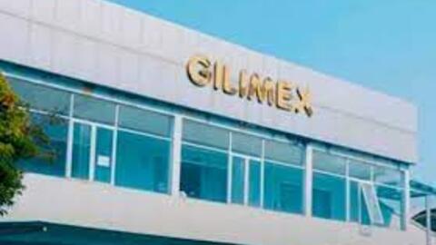 Sau khởi kiện Amazon, Gilimex lỗ thêm 6 tỷ trong quý 2