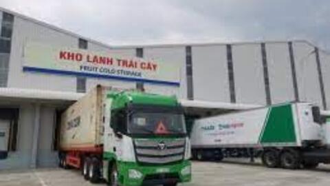 Một công ty con của HAG lãi khủng hơn 540 tỷ sau nửa đầu năm 2023
