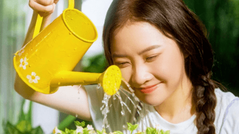 Đề cử giải Mai Vàng lần thứ 29, hạng mục nữ ca sĩ nhạc nhẹ: Những sắc màu của gen Z