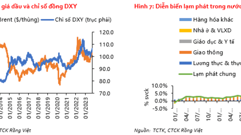 VDSC: NHNN đối phó với bộ ba áp lực tỷ giá, lạm phát và thanh khoản dư thừa