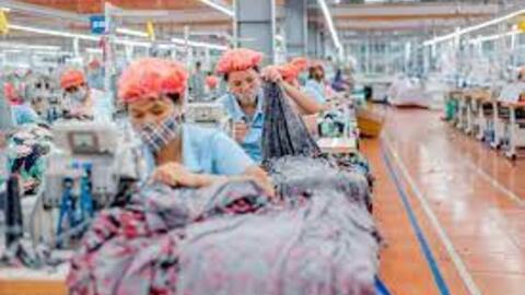May Sông Hồng sắp chi gần 188 tỷ tạm ứng cổ tức 2023