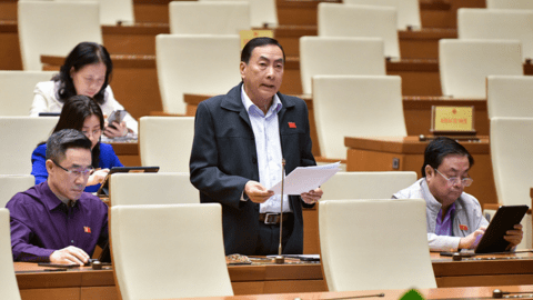 Đại biểu QH: Các vụ đấu giá biển số xe, mỏ cát... làm lũng đoạn, rối thị trường