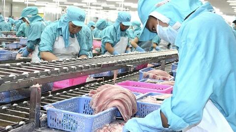 Năm 2024, xuất khẩu thuỷ sản sẽ dần phục hồi