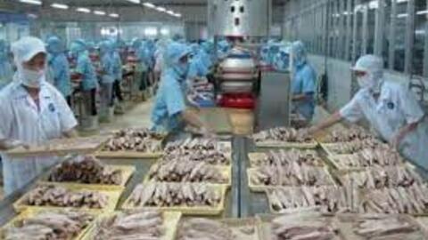 Một công ty thủy sản lập chuỗi 13 quý thua lỗ, em dâu Chủ tịch muốn mua gần 3 triệu cp