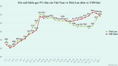 Giá gạo Việt rời xa đỉnh, hàng Thái Lan tái chiếm ngôi đầu thế giới