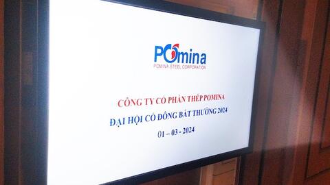 ĐHĐCĐ Pomina: Chưa công bố danh tính nhà đầu tư chiến lược vì vẫn đang đàm phán 