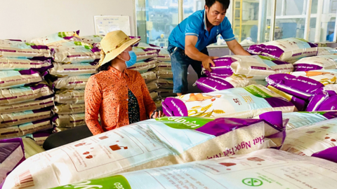 "Vua gạo" một thời Angimex tiếp tục bán tài sản thu hồi vốn