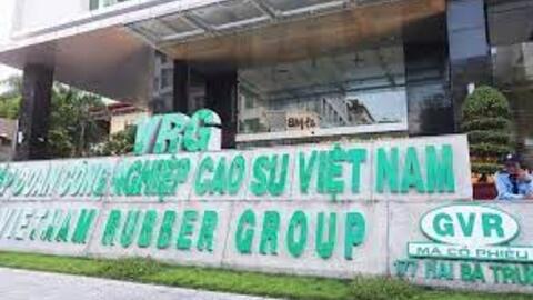 Đại gia ngành cao su GVR "gánh team" tuần qua
