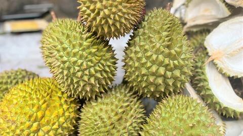 Lý do sầu riêng Việt lên ngôi số 1 tại Trung Quốc trong 2 tháng đầu năm