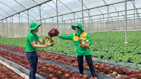 Chặn thực phẩm bẩn vào TP HCM